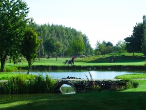 TF Golf 2016