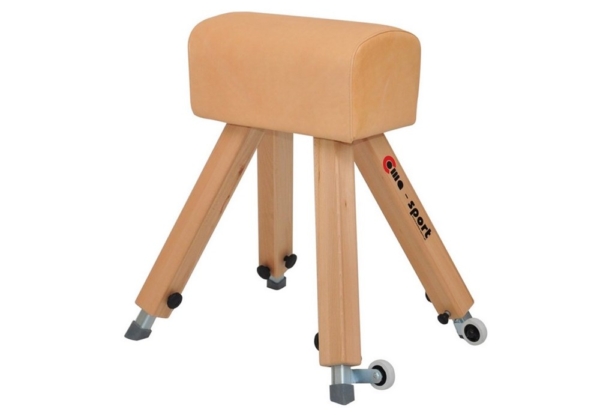 Pallplint läder