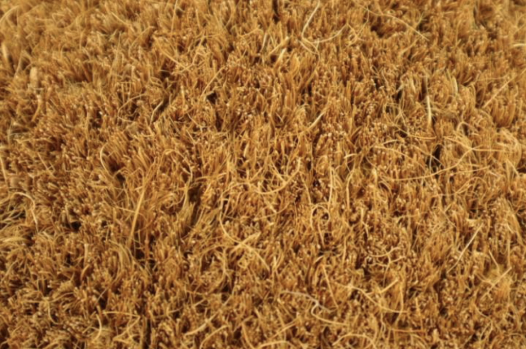 CocoTurf före
