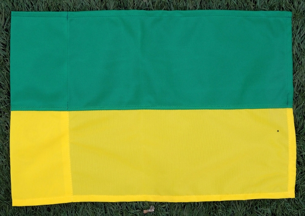 Hörnflagga Grön/Gul